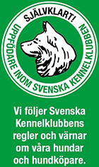 Kennel Xélanc * Uppfödare inom SKK 